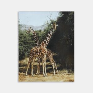 Reticulated Giraffe