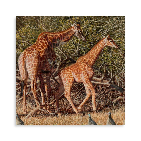 Arid Serendipity - Image 3