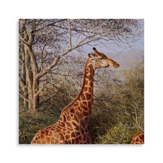 Arid Serendipity - Image 4